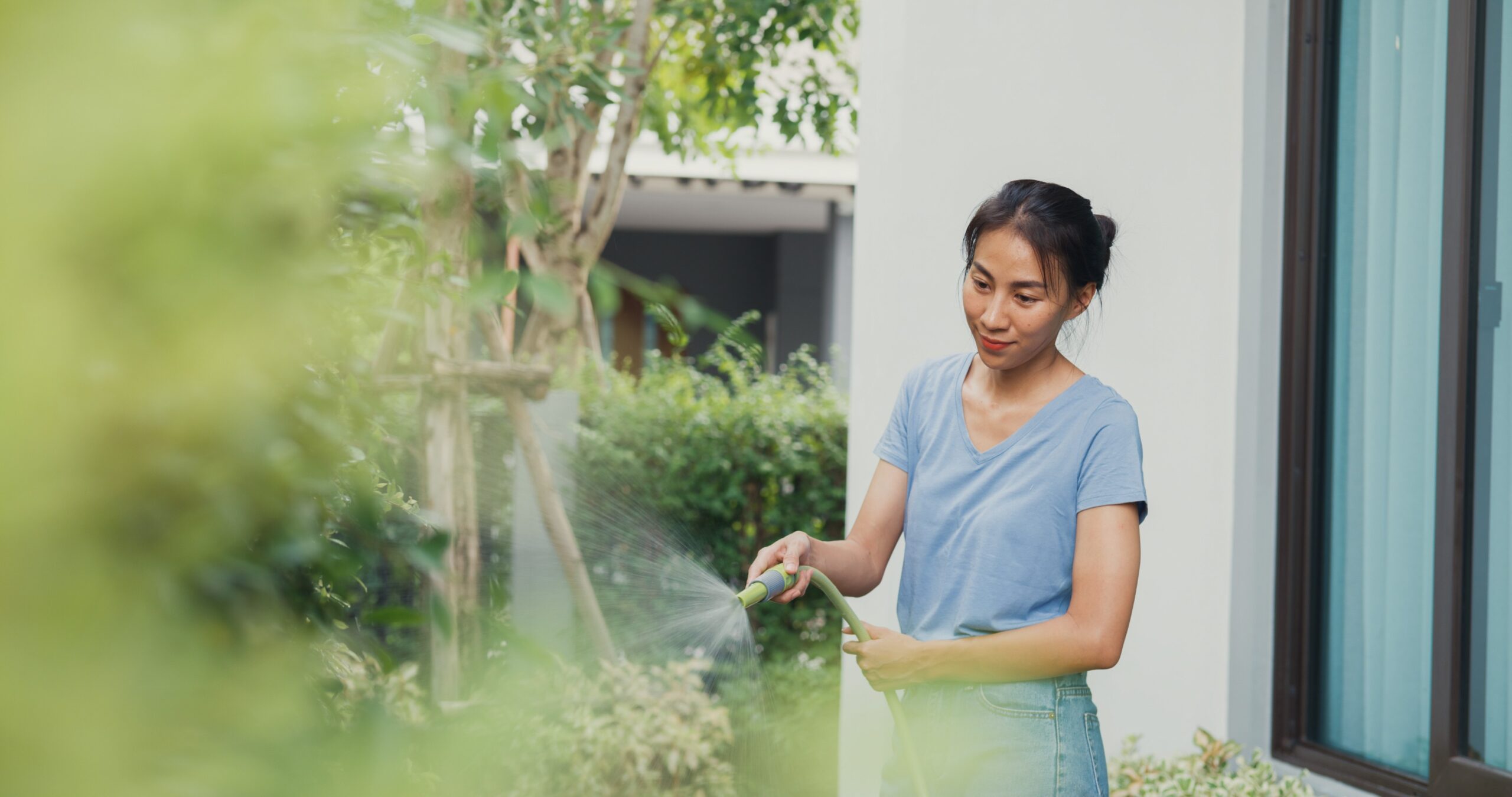 garden and landscaping, home maintenance