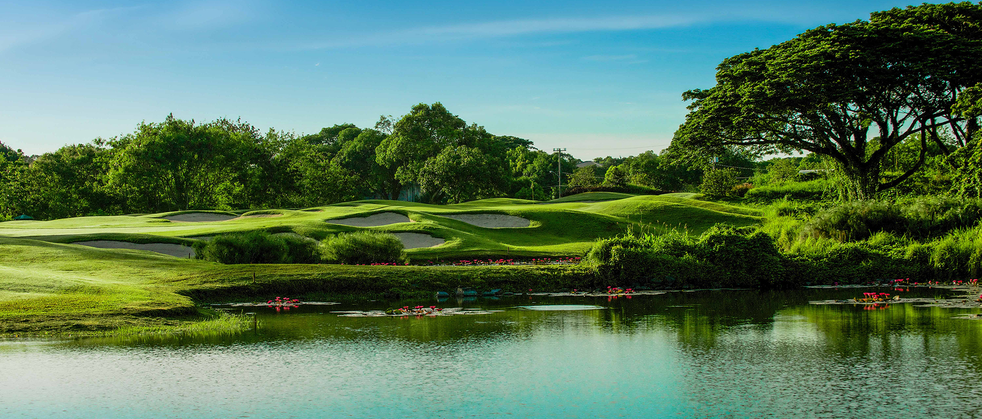 The Orchard Golf & Country Club